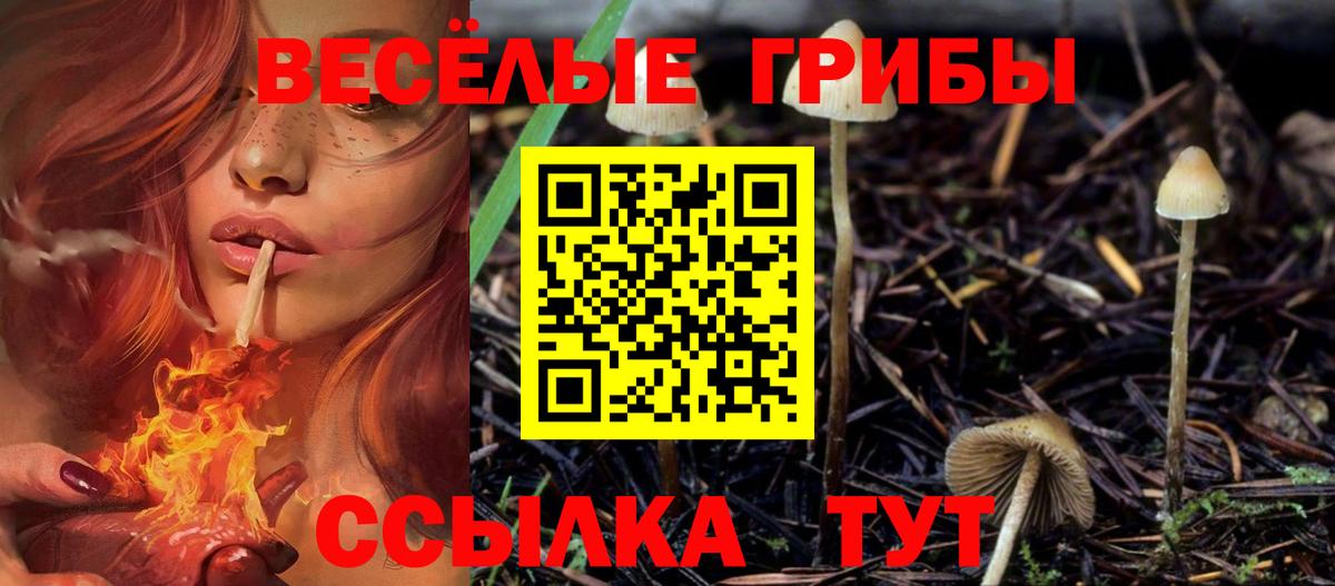Псилоцибиновые грибы Cubensis Лянтор